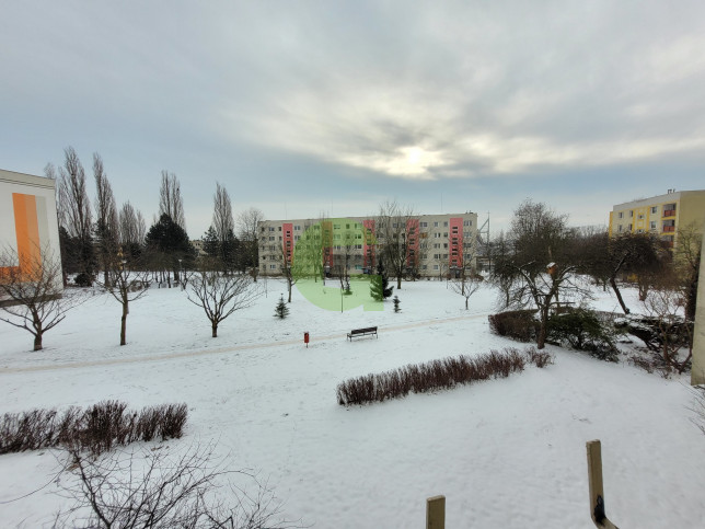 Mieszkanie Sprzedaż Częstochowa al. Aleja Wyzwolenia 12