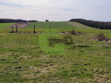 Dom Sprzedaż Żuraw